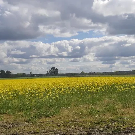 Tatil Evi Casa De Corbelle *