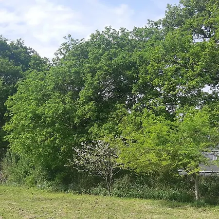 Hébergement de vacances Casa De Corbelle Muimenta