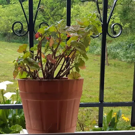 Casa De Corbelle Muimenta