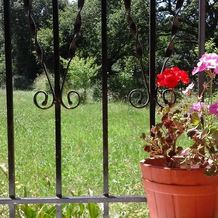 Casa De Corbelle * Muimenta