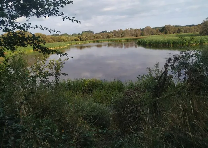 Casa De Corbelle Muimenta