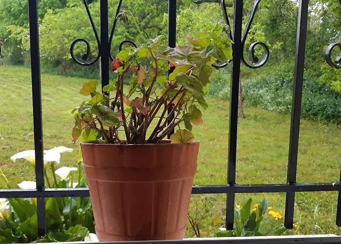 Casa De Corbelle Muimenta