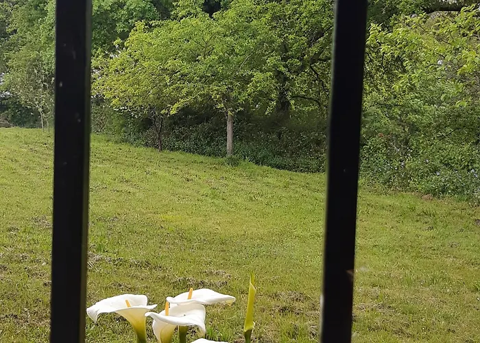 Casa De Corbelle * Muimenta